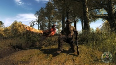 Faisão 28.4735 – Hirschfelden