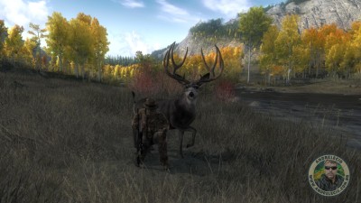 Veado Mula 243.1101 – Timbergold Trails