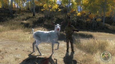 Veado Mula albino abatido em Timbergold Trails